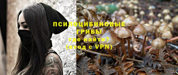 Альфа ПВП Балабаново