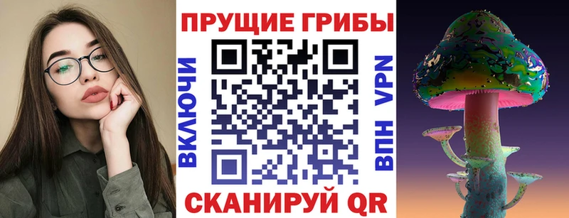 Галлюциногенные грибы MAGIC MUSHROOMS  darknet Telegram  omg ССЫЛКА  Гагарин  дарнет шоп 